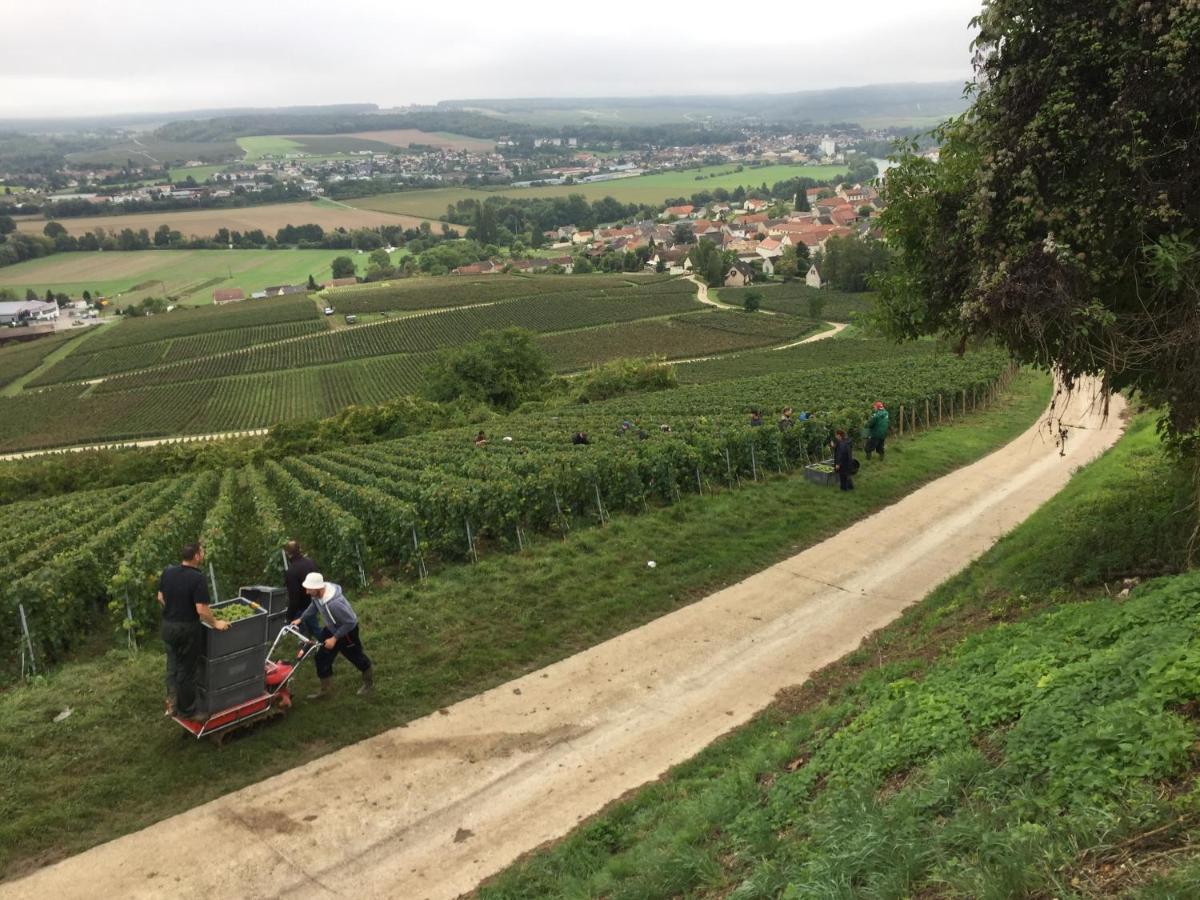 Villa L'Insouciance En Champagne Vincelles  Dış mekan fotoğraf