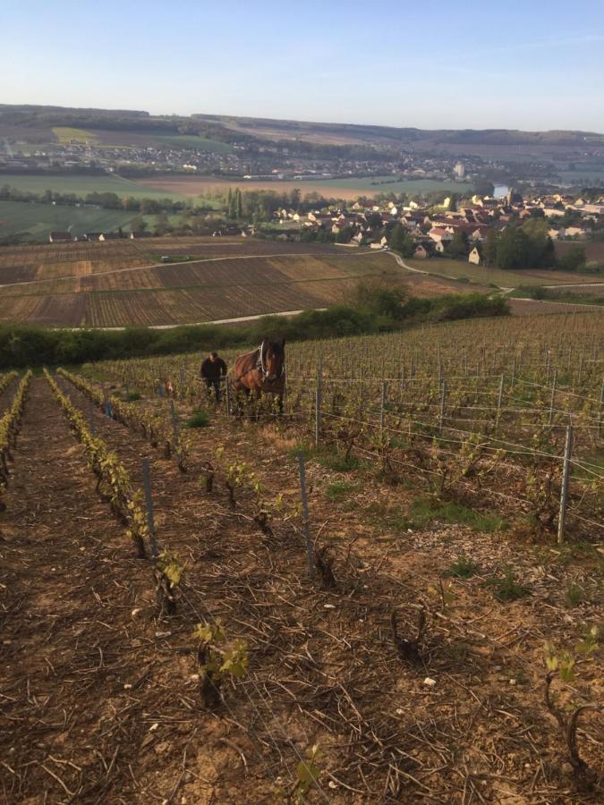 Villa L'Insouciance En Champagne Vincelles  Dış mekan fotoğraf