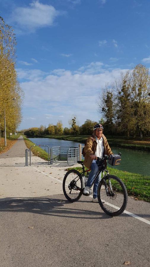 Villa L'Insouciance En Champagne Vincelles  Dış mekan fotoğraf