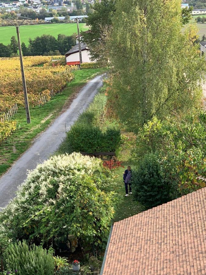 Villa L'Insouciance En Champagne Vincelles  Dış mekan fotoğraf