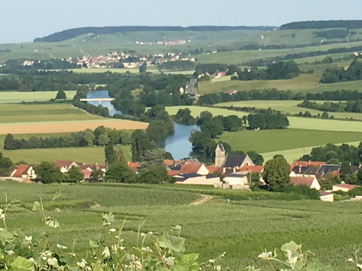 Villa L'Insouciance En Champagne Vincelles  Dış mekan fotoğraf